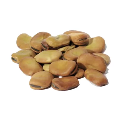 Mojo Wish Bean 1oz 1618 Gold (vicia Faba)