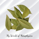 Whole Bay Leaves 2oz Pack