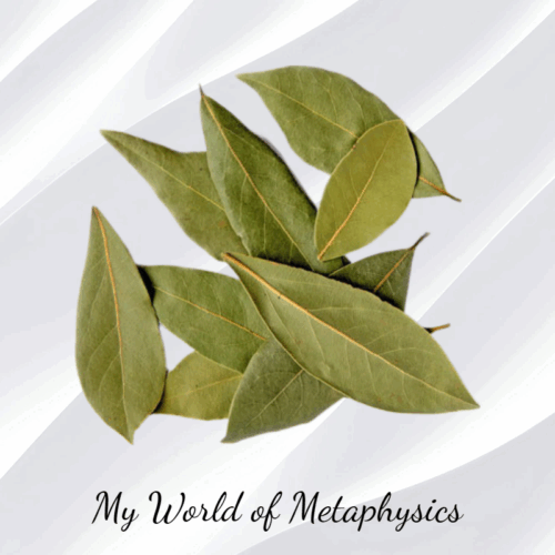 How to Use Bay Leaves for Manifestation